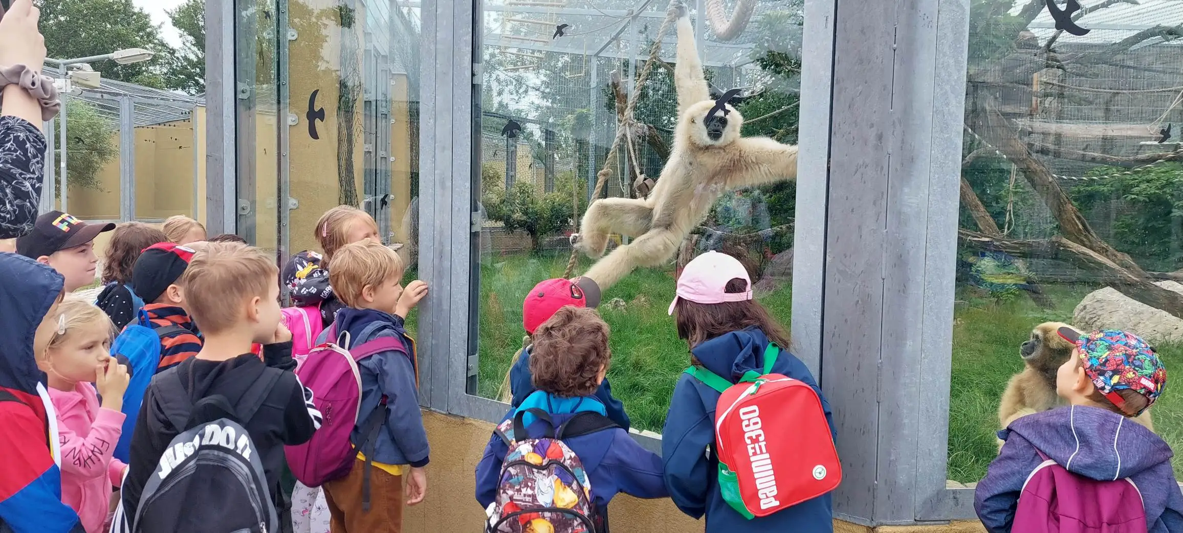 Aktivity s deťmi v Malkia Park ZOO